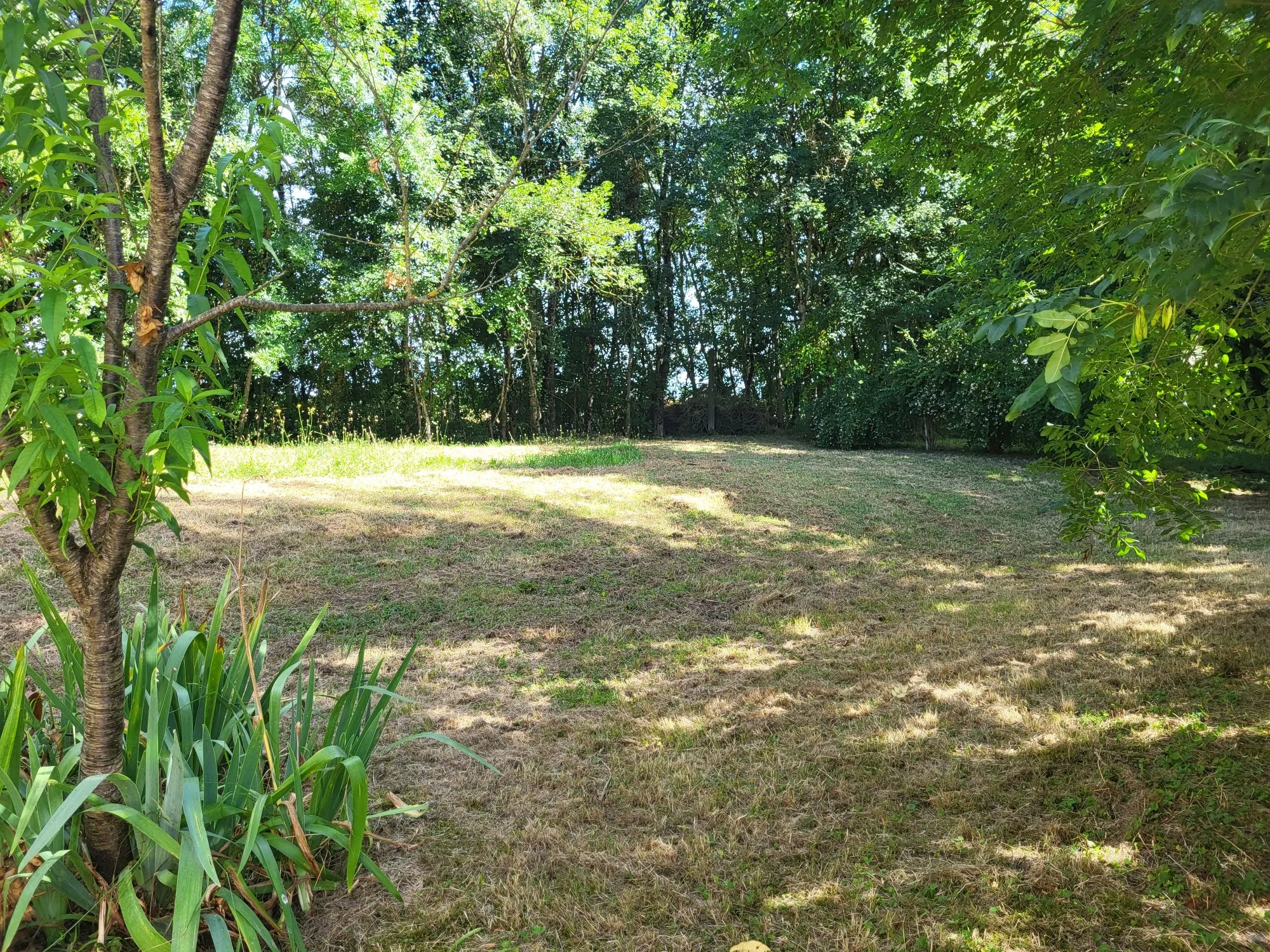 Ensemble immobilier à Néré avec deux maisons et revenu locatif 