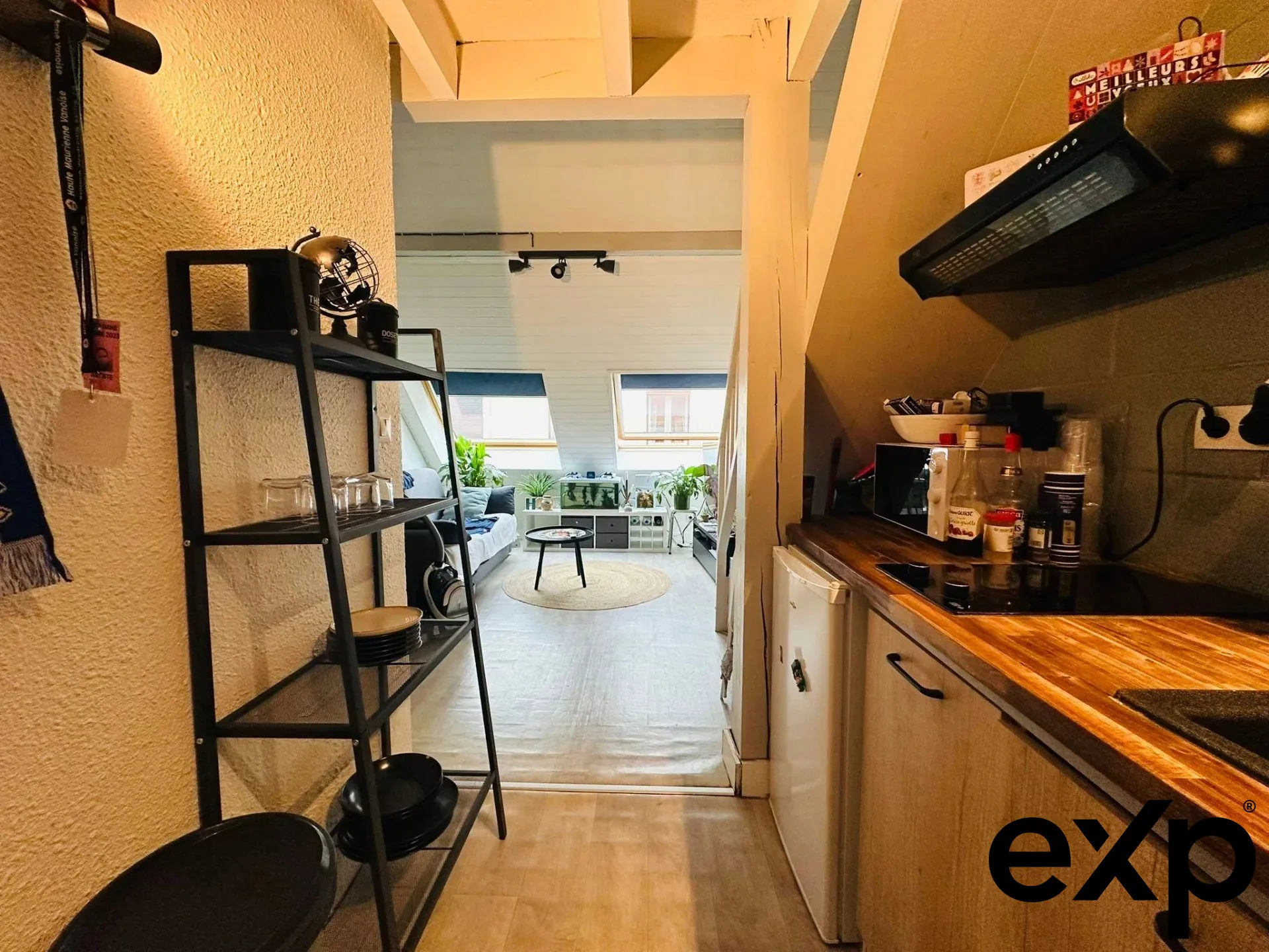 Charmant appartement T1 Bis avec mezzanine au cœur d'Aix-les-Bains, idéal investisseur 