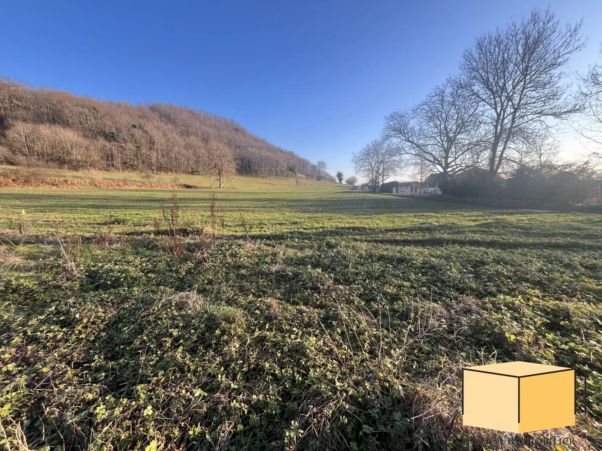 Belle parcelle de 1200 m² à vendre à Belley, terrain viabilisé dans un cadre calme