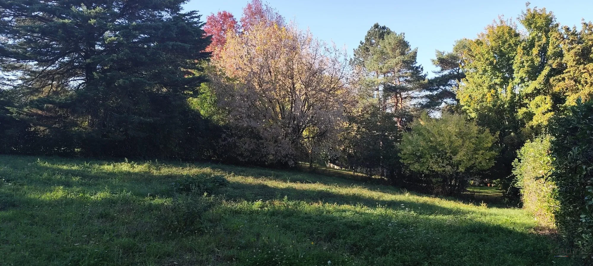 Terrain constructible à vendre à Fontcouverte (17) - 1580 m² avec pente naturelle