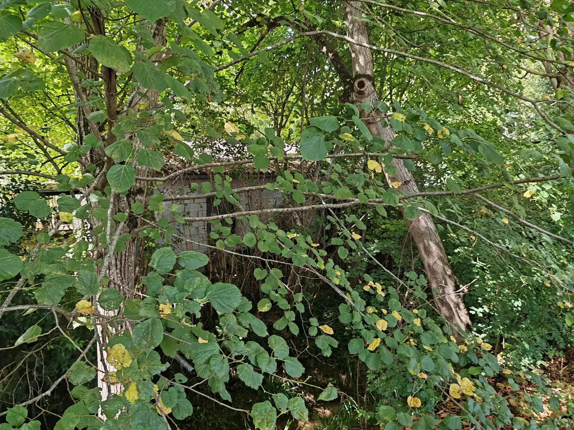 Garage à vendre de 70 m² à Auriac-sur-Vendinelle, potentiel d'habitation ou atelier