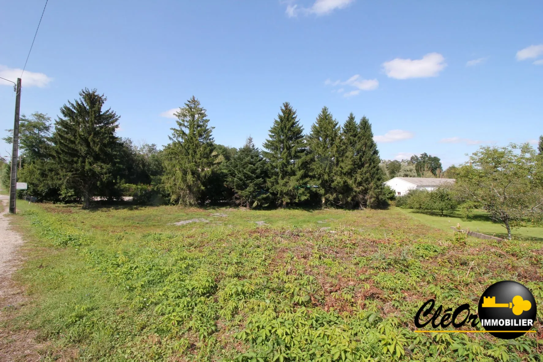 Terrain à vendre proche de Seurre de 2 100 m² non viabilisé