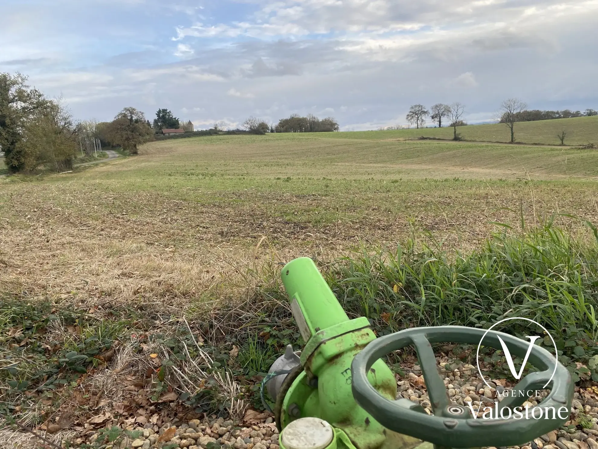 À vendre terrain agricole de 1,46 ha à Castelnau-Tursan dans les Landes 