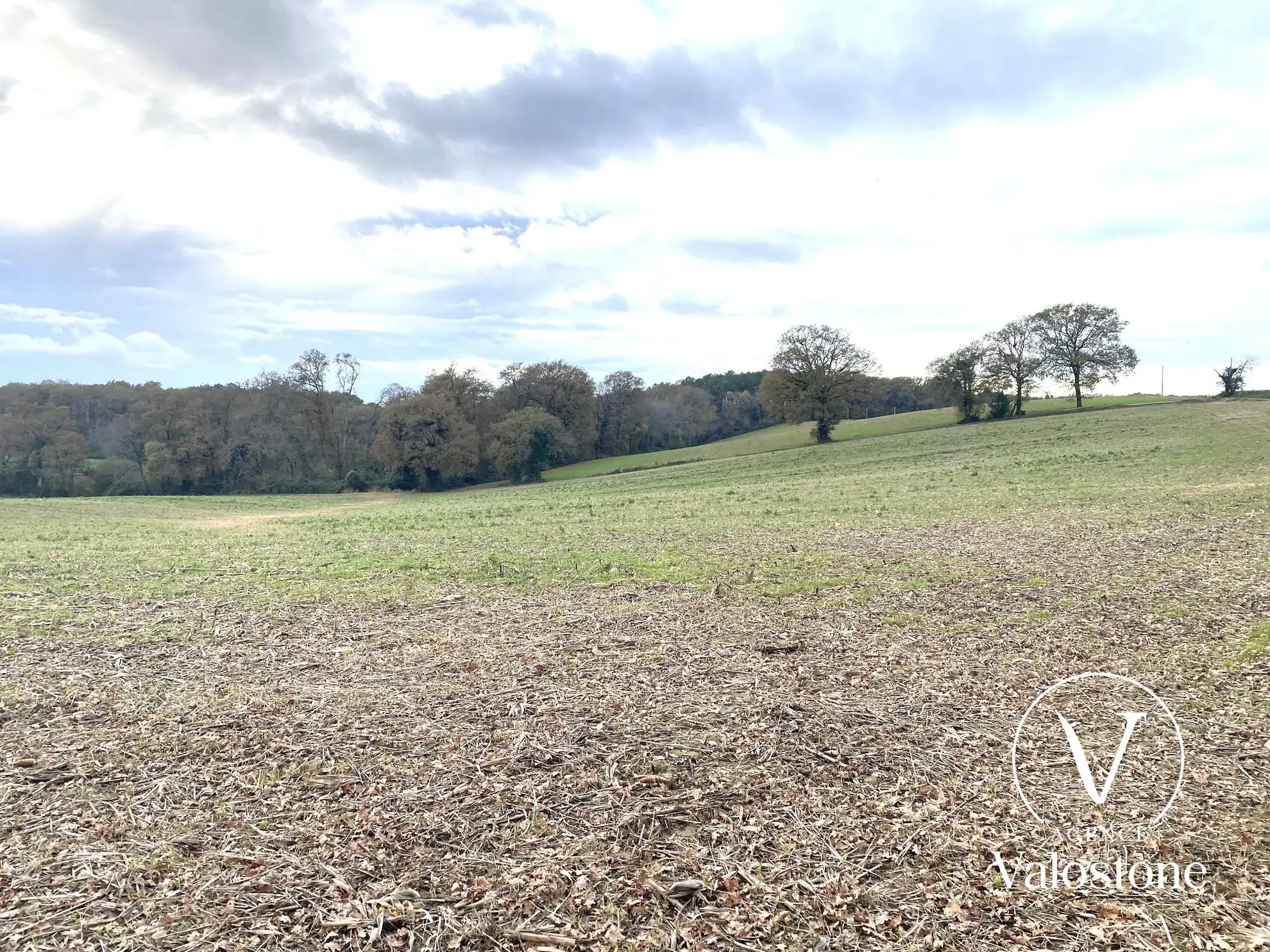 À vendre terrain agricole de 1,46 ha à Castelnau-Tursan dans les Landes 