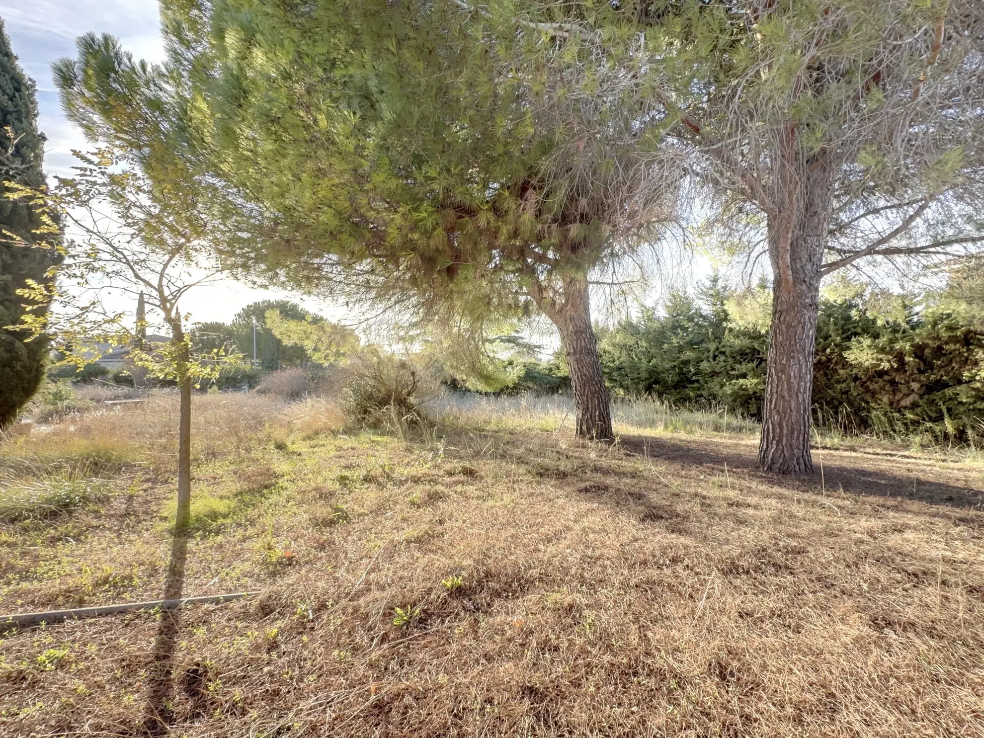 Terrain constructible de 409 m² à Saint-Jean-de-Védas proche Montpellier