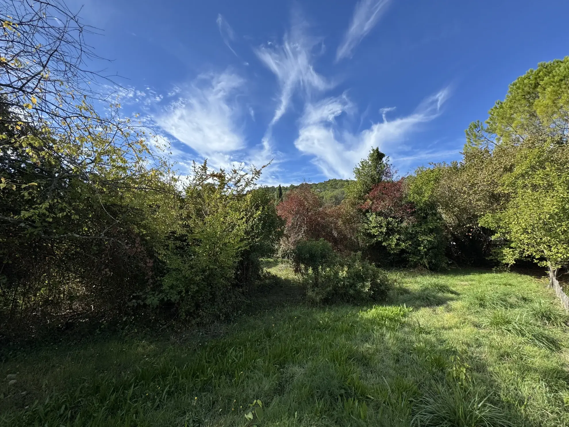 Terrain à bâtir de 604m² à Carnoules, viabilisé et prêt à construire 