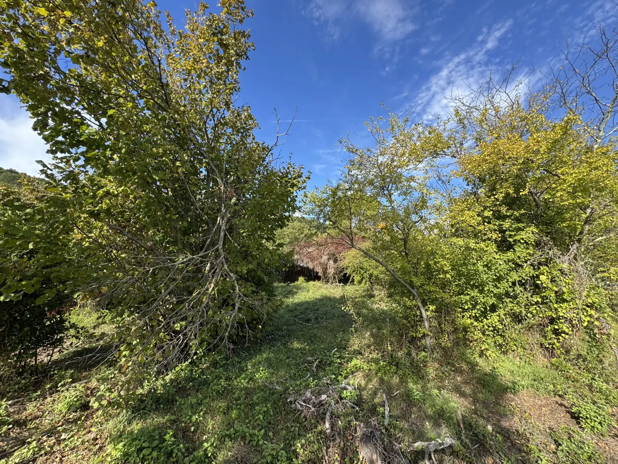 Terrain à bâtir de 604m² à Carnoules, viabilisé et prêt à construire 