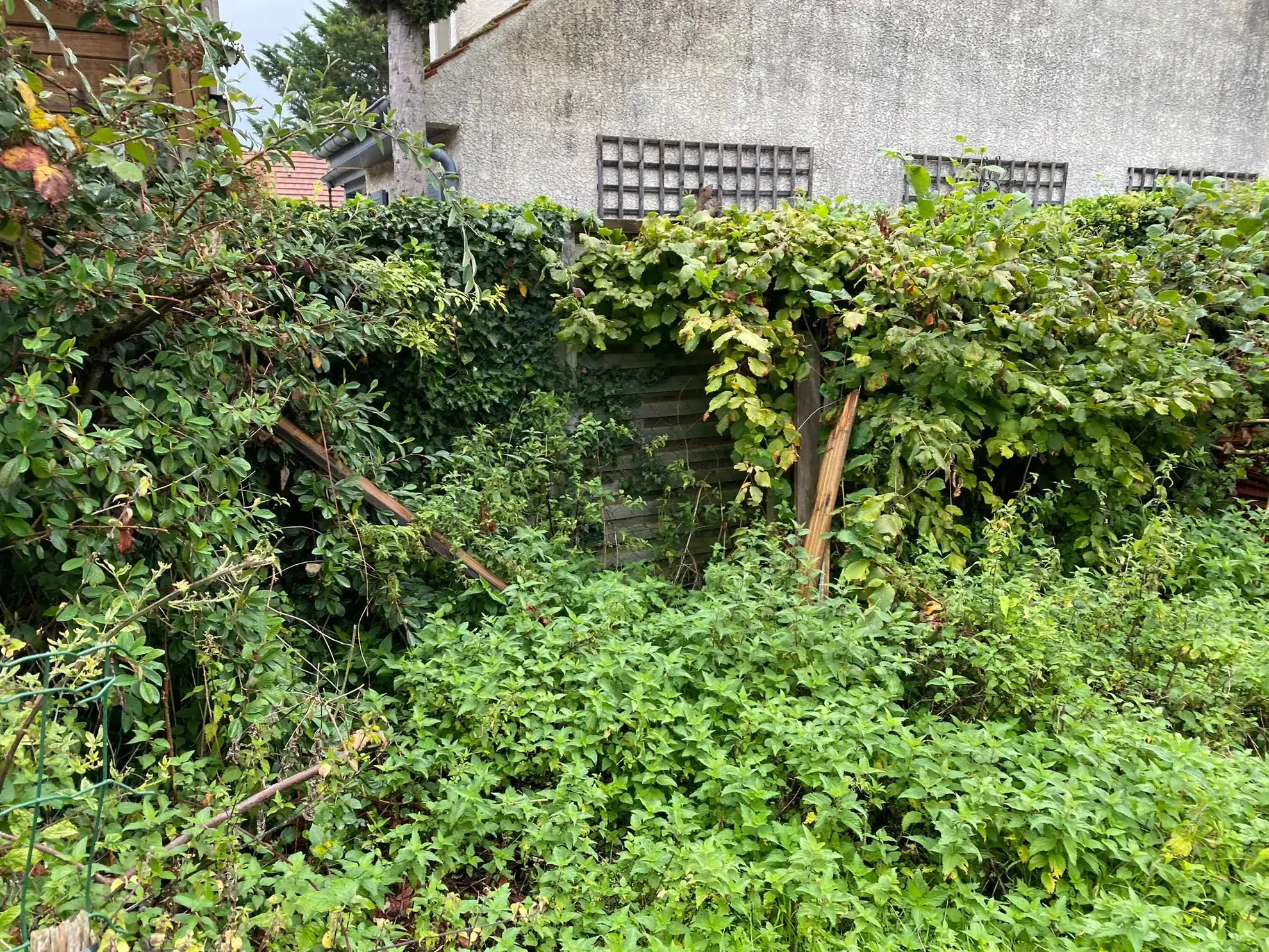 Opportunité rare : maison à rénover avec potentiel exceptionnel à Asnieres-sur-Oise 