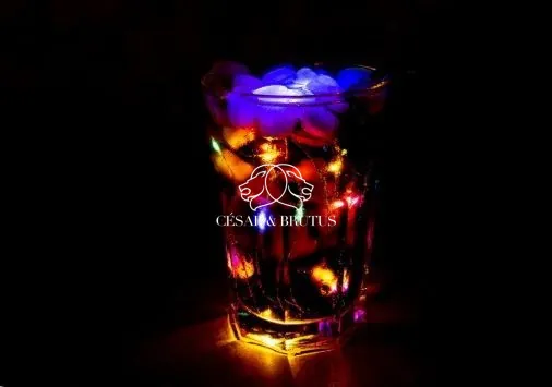 Fonds de commerce à vendre à Lyon 1 - Bar festif et restaurant avec licence 4