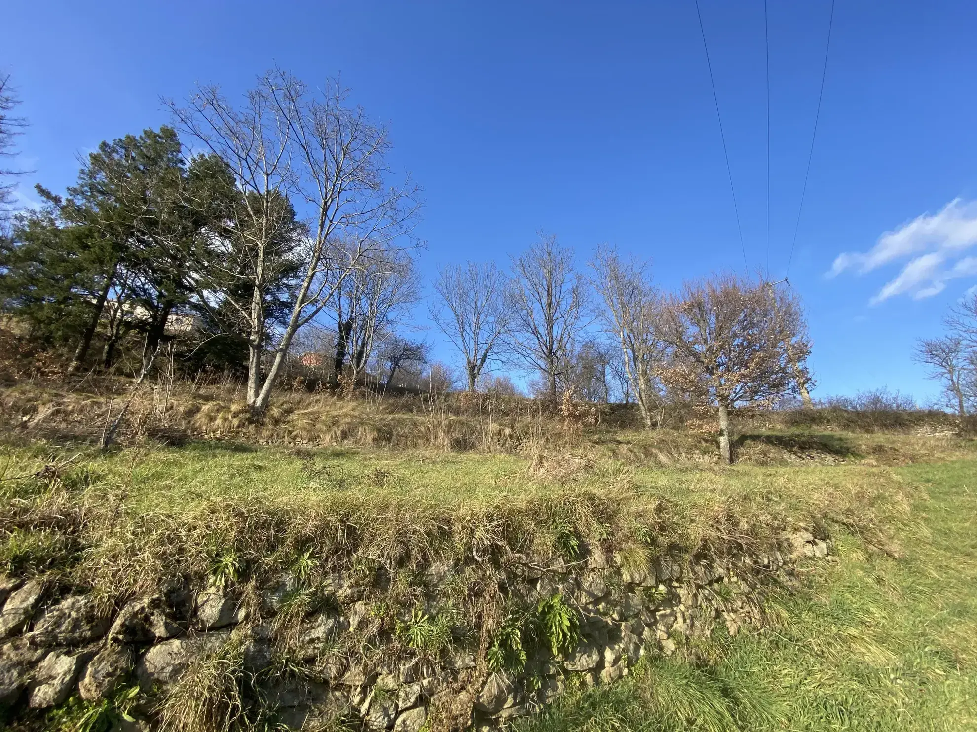 Terrain constructible de 2664 m² à Villevocance avec potentiel de développement 