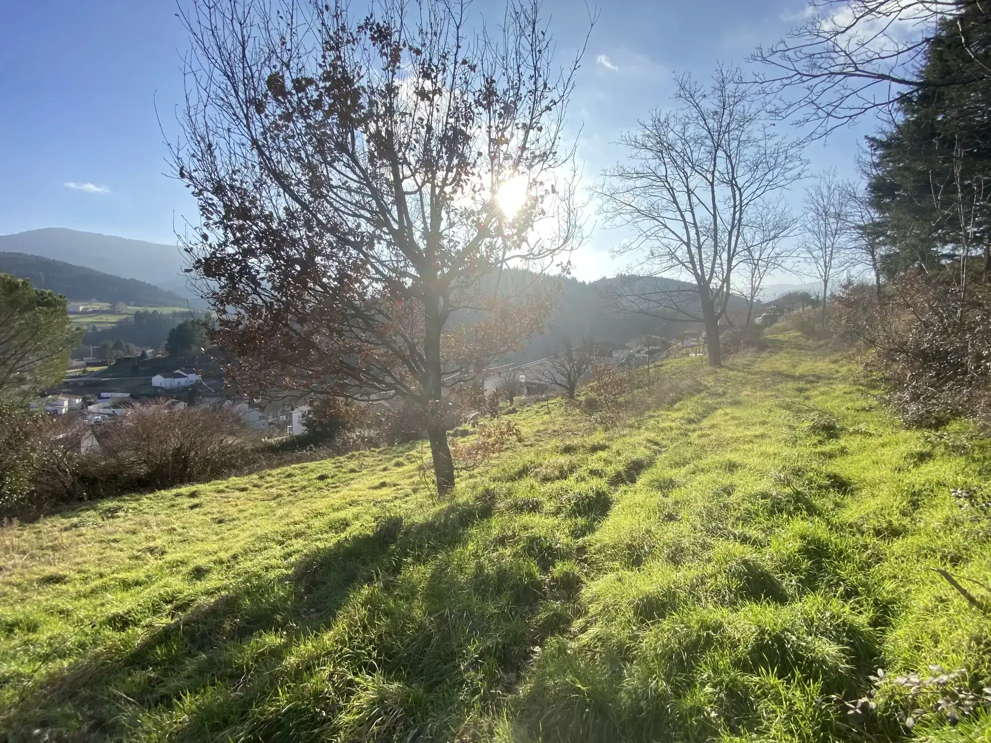 Terrain constructible de 2664 m² à Villevocance avec potentiel de développement 