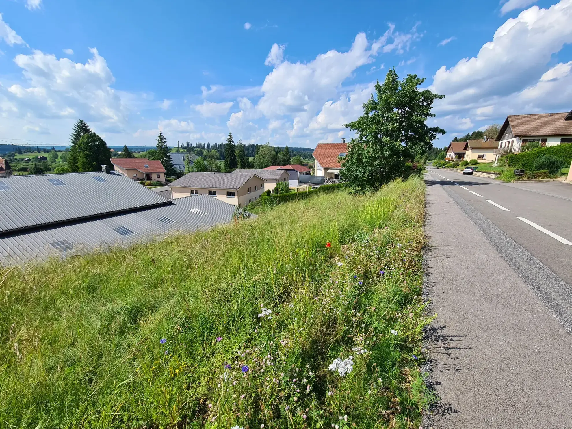 Terrain constructible de 450 m² à Labergement-Ste-Marie, vue dégagée et accès facile 