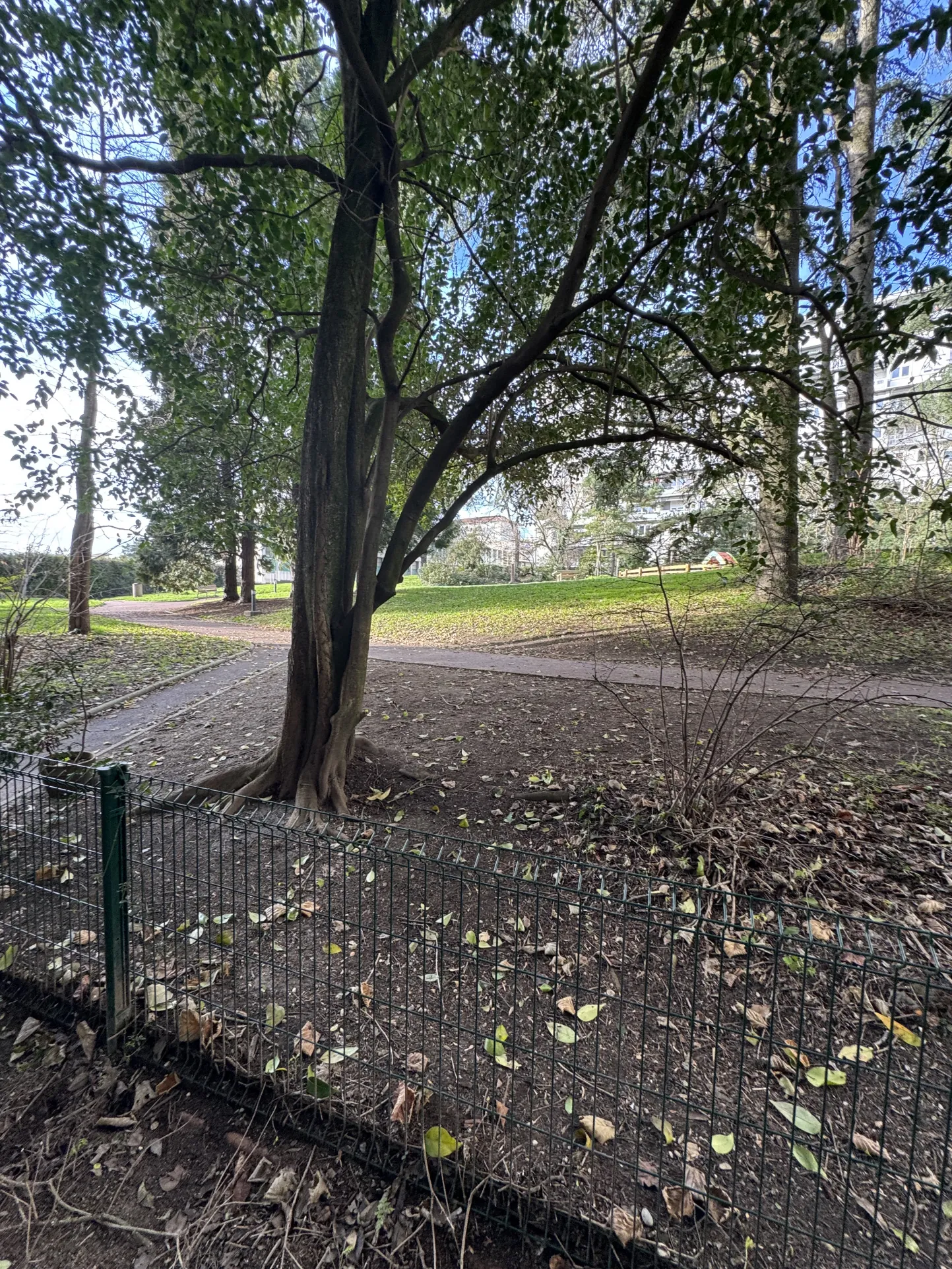 Charmant T2 avec jardin et balcon à Caluire-et-Cuire - Résidence bien entretenue