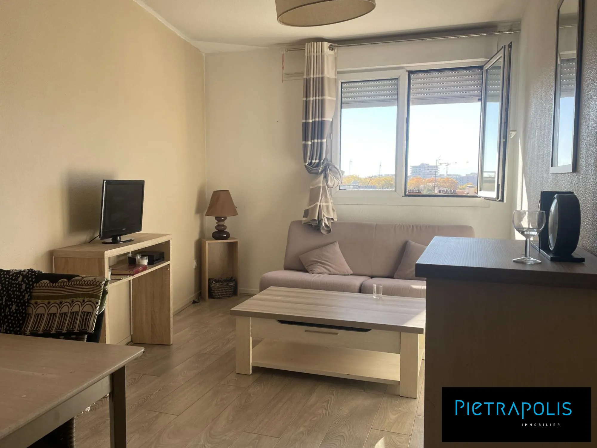 Salon Appartement T2 lumineux avec vue dégagée à Lyon 7e - Parc Blandan