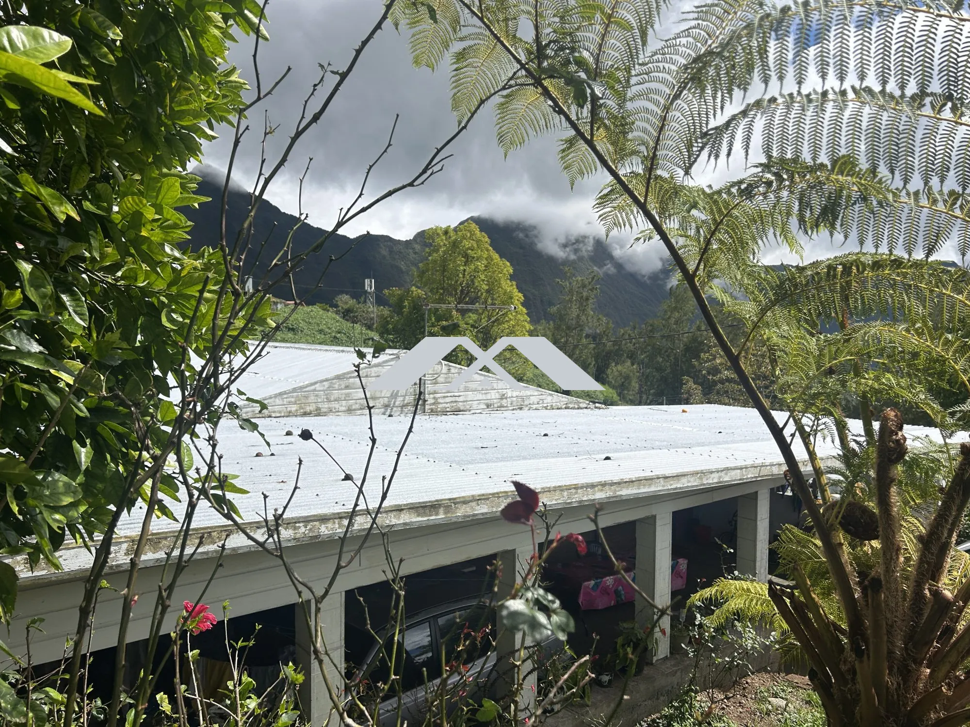 Maison F4 en Bois sous Tôle de 120m² à Salazie - Investissement clé en main 