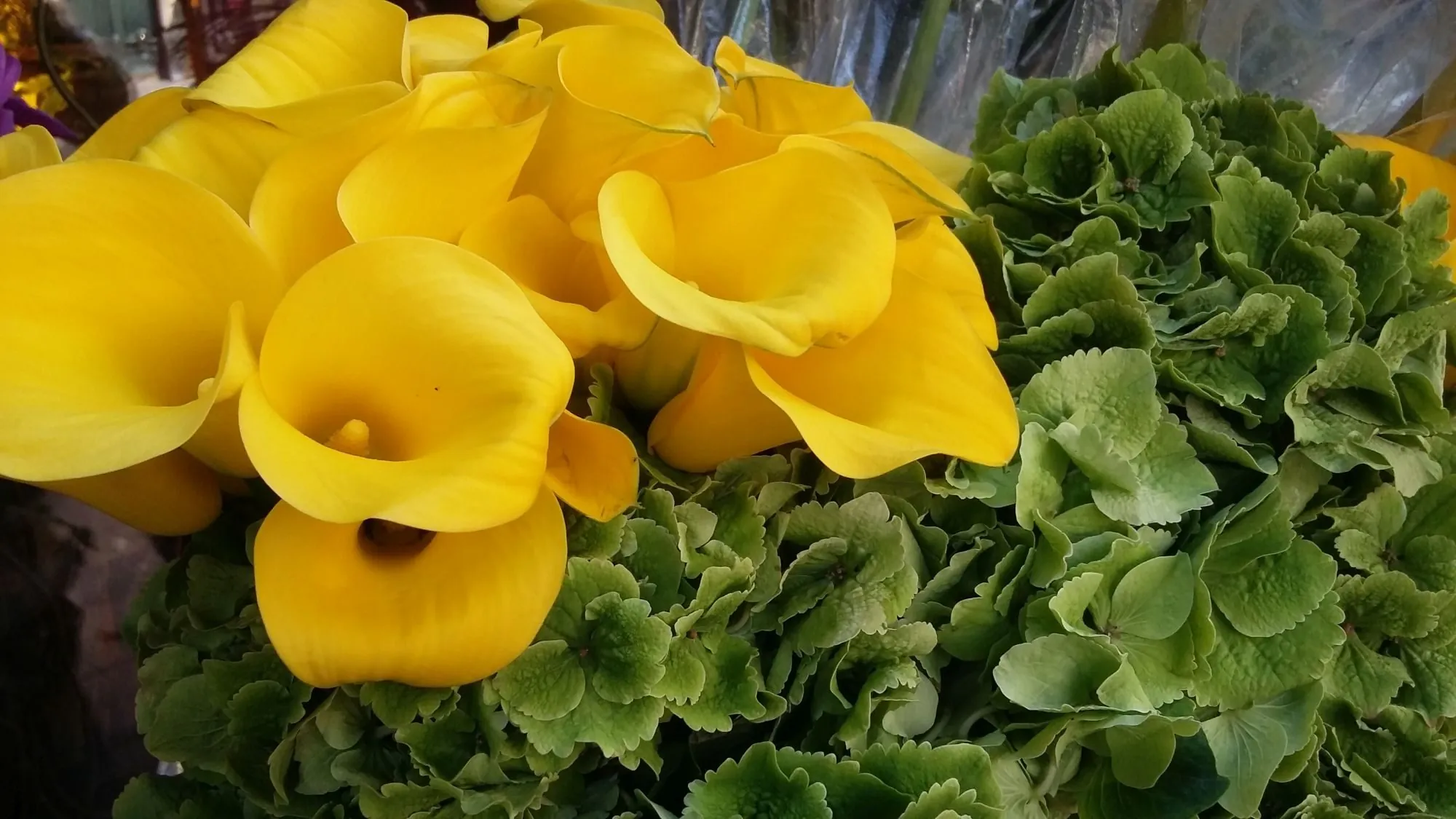 Fleuriste à vendre dans le 12ème arrondissement de Paris - Opportunité idéale