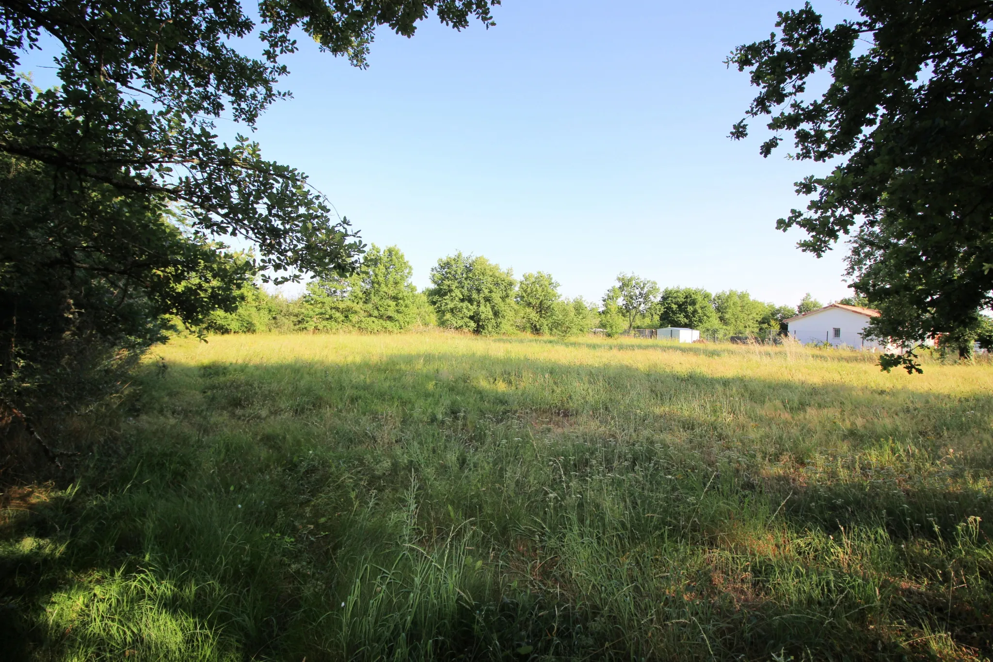 Terrain à bâtir de 1710 m² à Meauzac, viabilisé et prêt à construire 