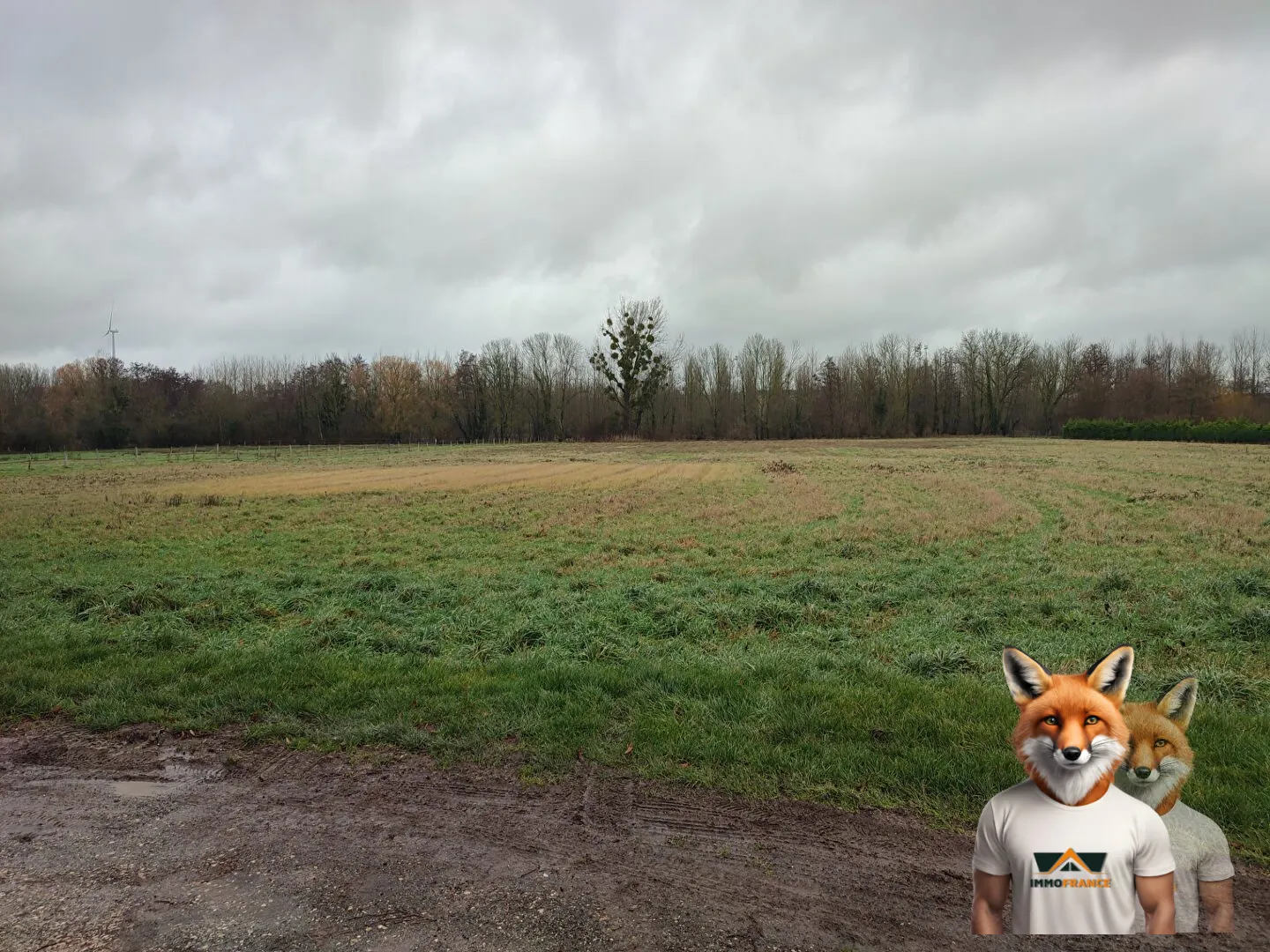 Terrain résidentiel constructible à Nogent-sur-Seine – 16 987 m², certificat positif