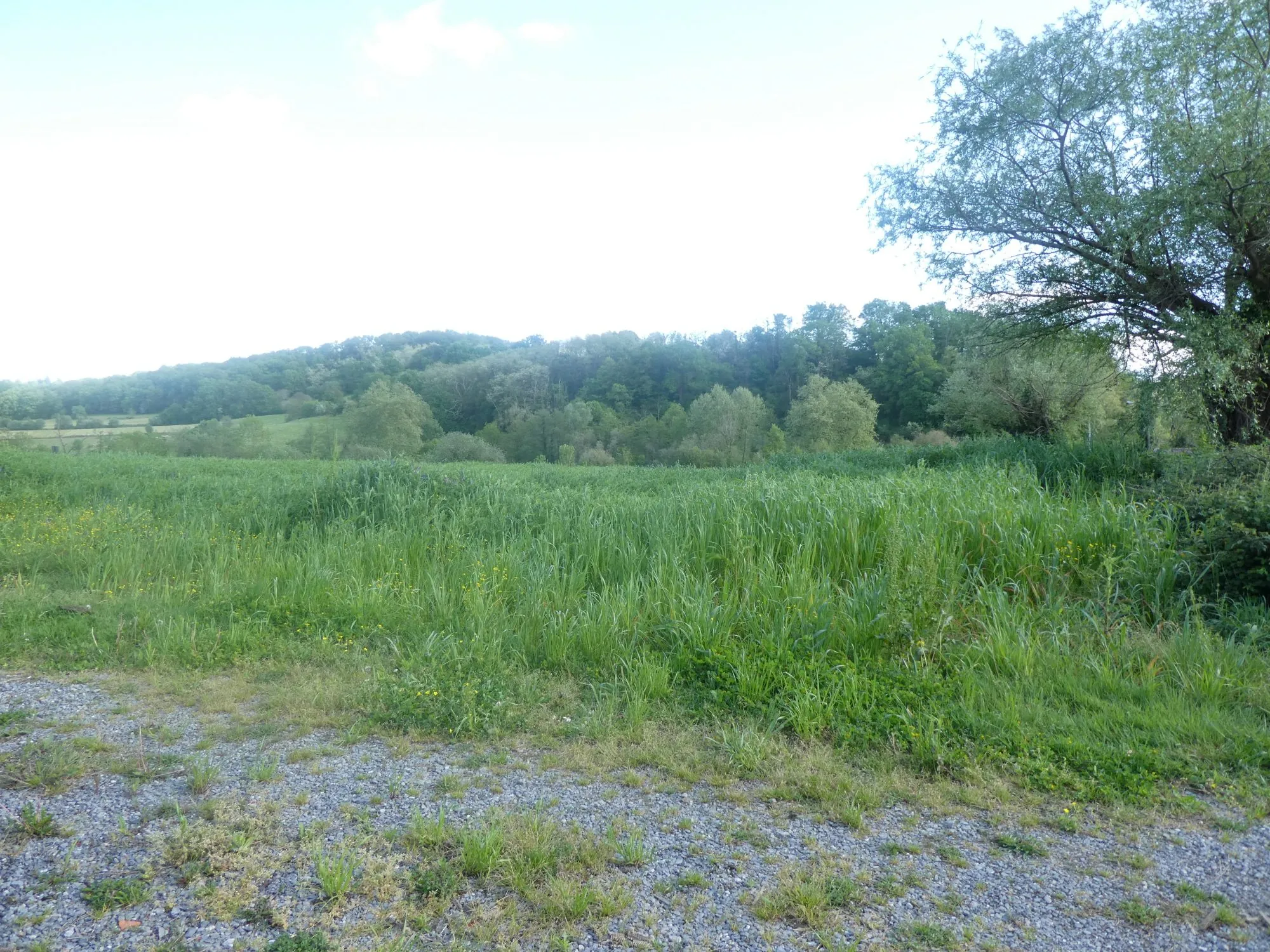 Terrain à vendre de 700 m² à Salies-de-Béarn – Constructible et idéal pour votre maison