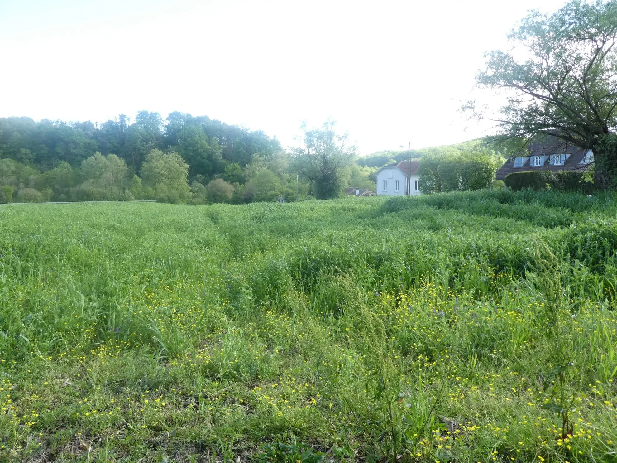 Terrain constructible à Salies-de-Béarn de 700 m² pour projet immobilier 