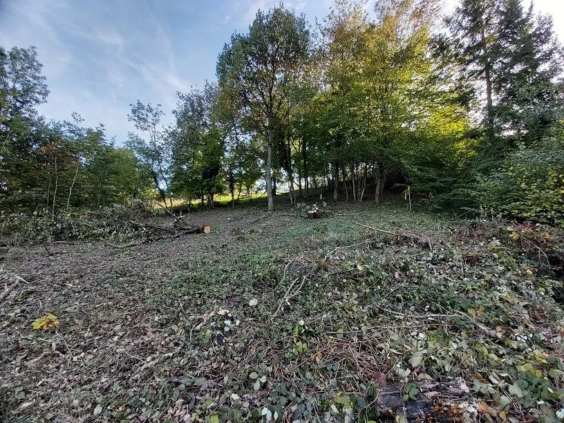 Terrain constructible à vendre à Blienschwiller, proche de Dambach-la-Ville