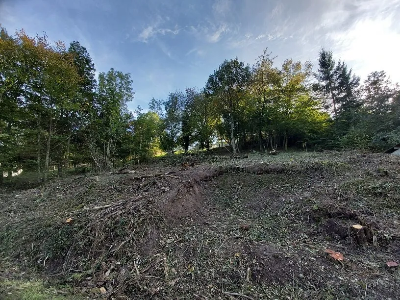 Terrain constructible à vendre à Blienschwiller, proche de Dambach-la-Ville 