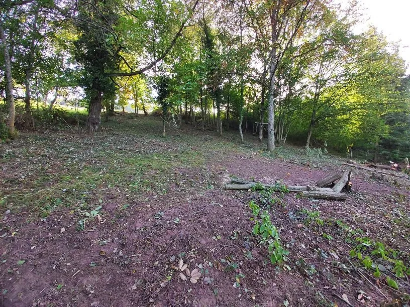 Terrain constructible à vendre à Blienschwiller, proche de Dambach-la-Ville 