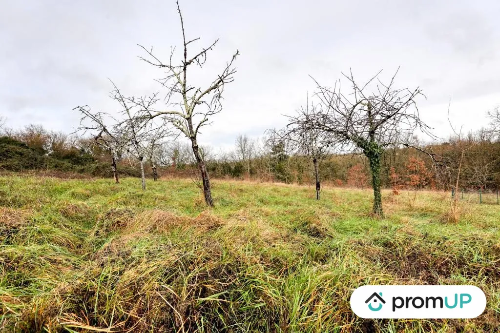 Terrain constructible de 1024 m² à Vindelle en Charente 
