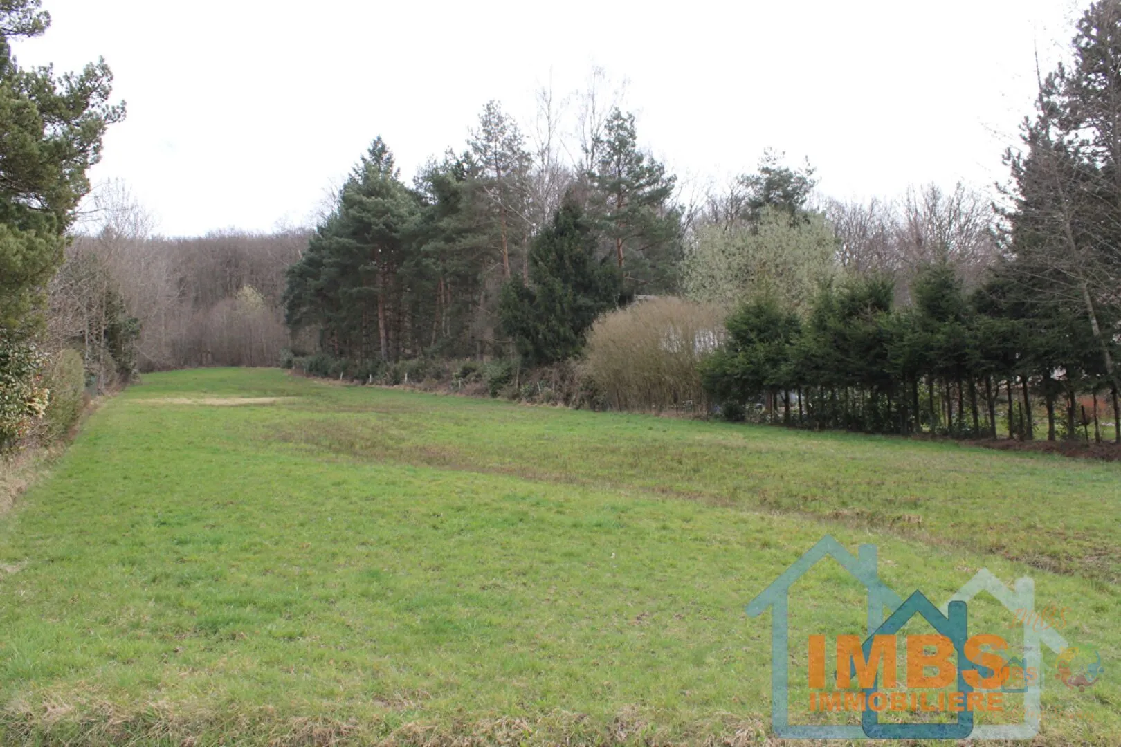 Terrain constructible de 1592 m² à Évette-Salbert, idéal pour votre maison