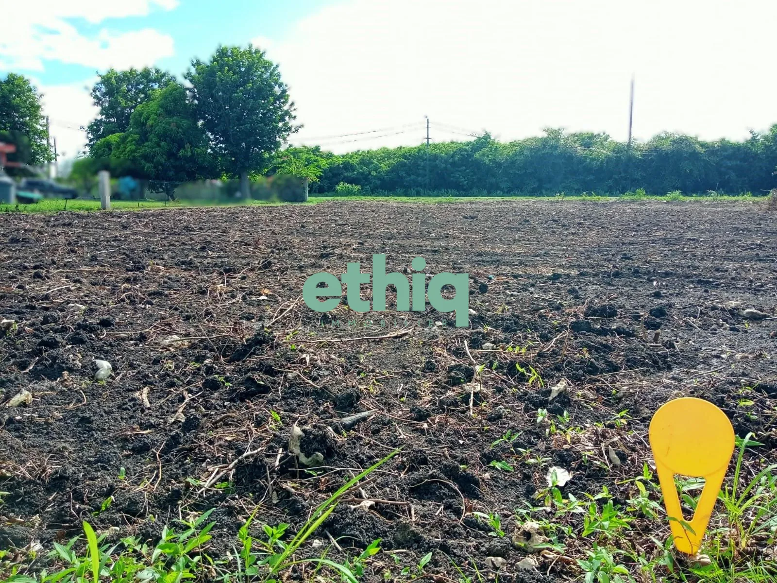 Terrain constructible de 1000 m² à Le Moule, idéal résidence ou investissement