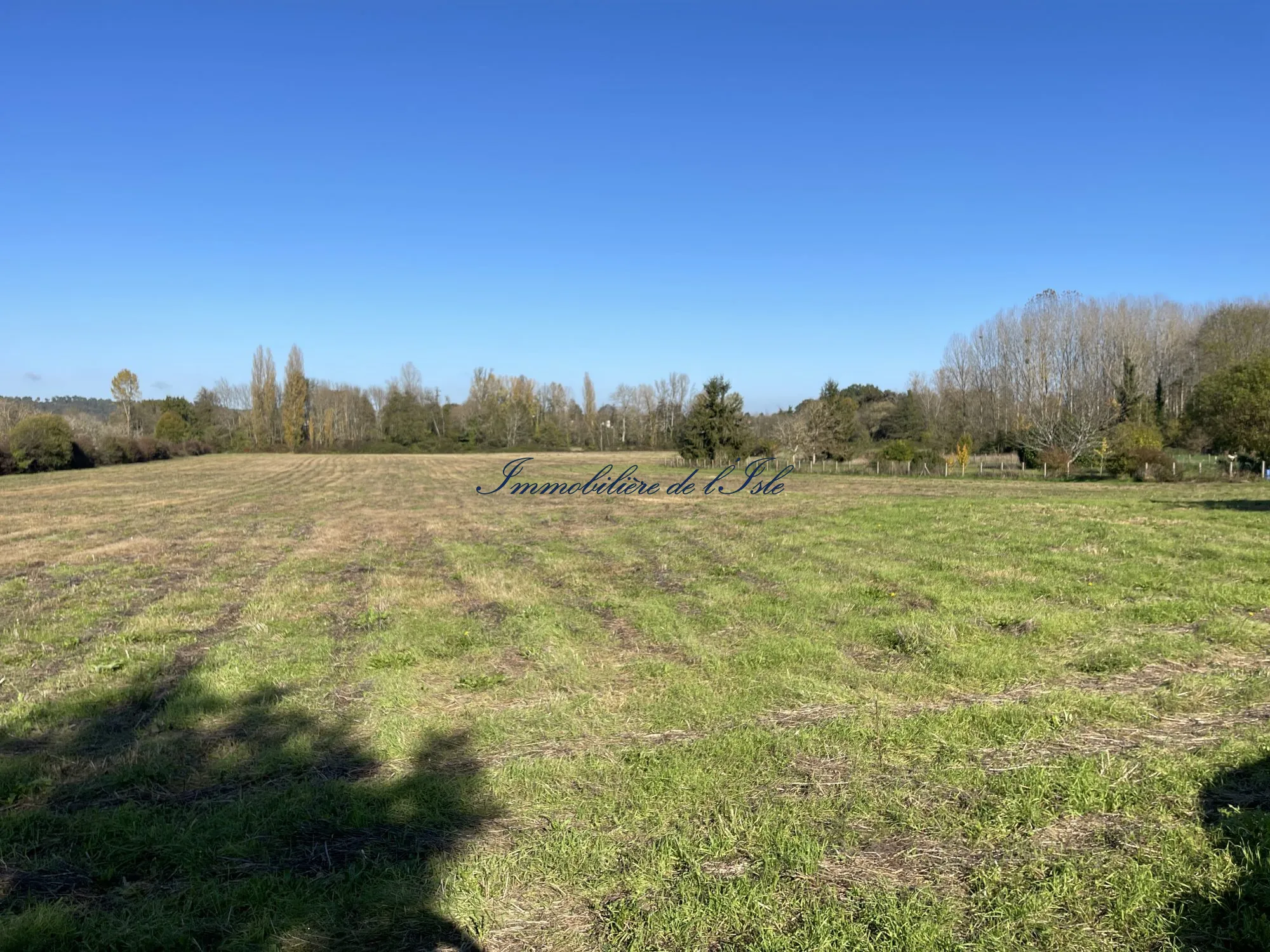 Terrain constructible avec anciennes granges à Neuvic, opportunité rare en Nouvelle-Aquitaine