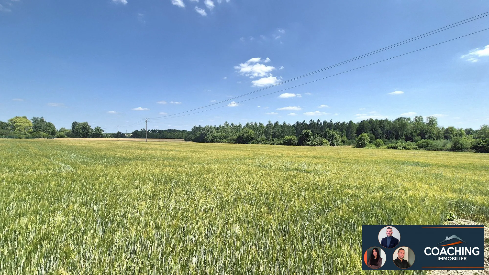 Terrain constructible de 5300 m² à Huiron - Opportunité idéale