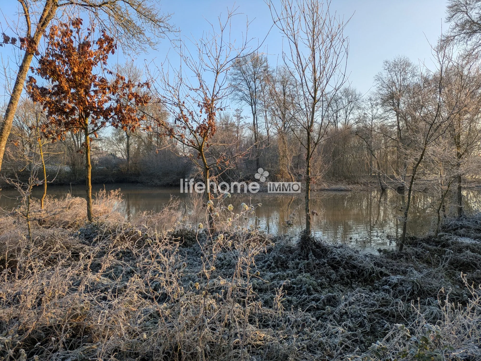 Terrain de loisir avec étangs à Segré en Anjou Bleu - Opportunité rare