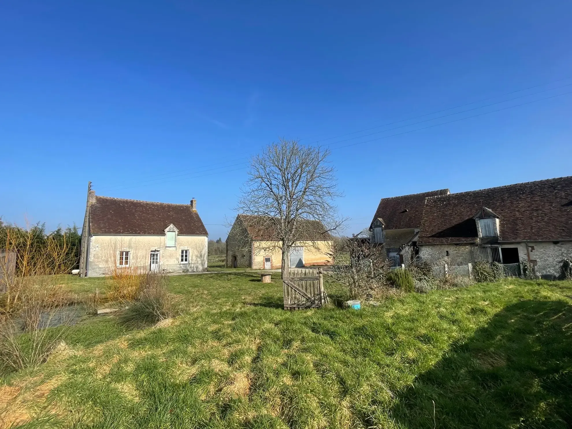 Corps de ferme à Rémalard en Perche avec dépendances et prairie sur 1 hectare