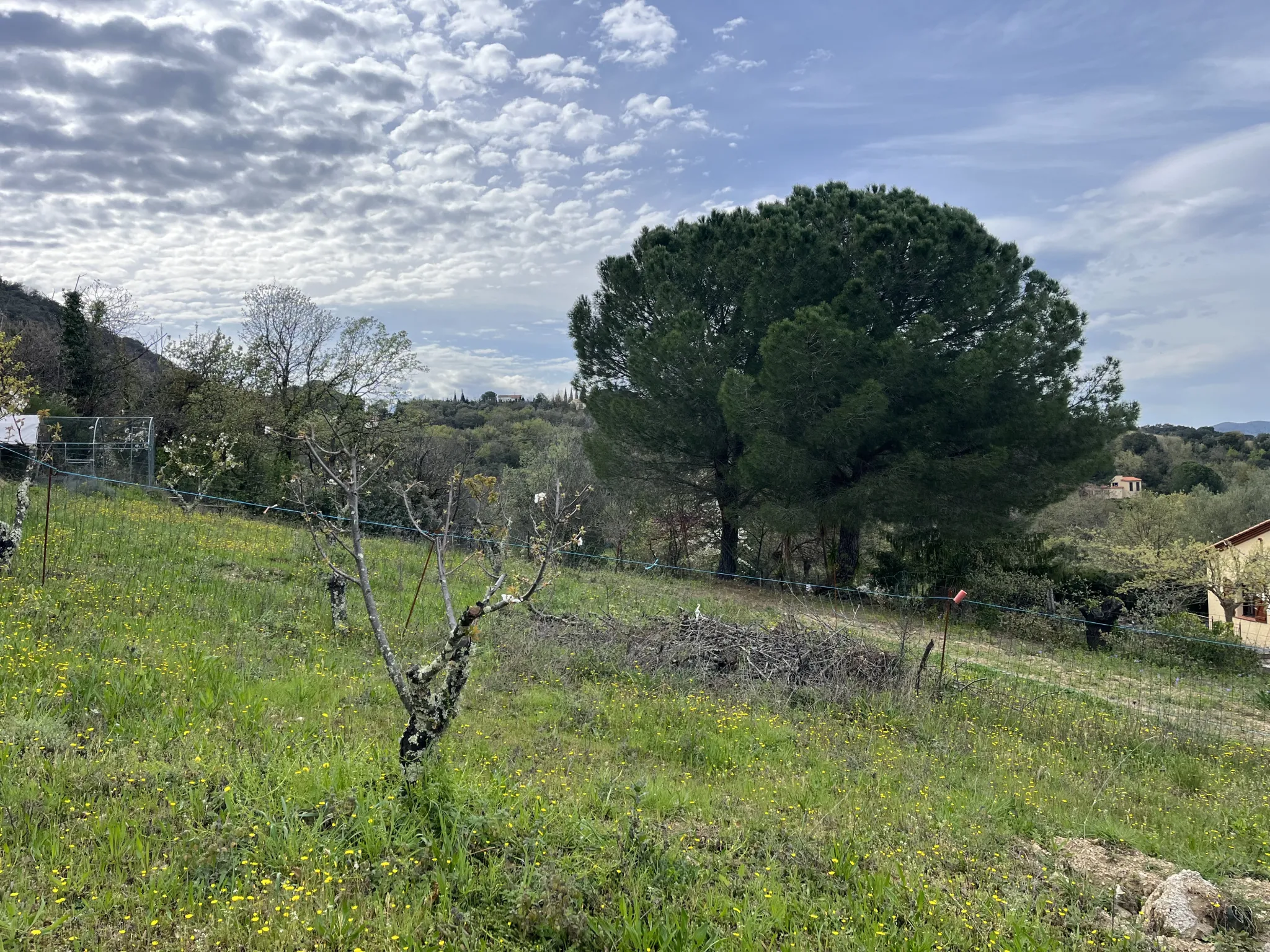 Terrain constructible avec vue dominante à Céret - Proximité centre-ville 