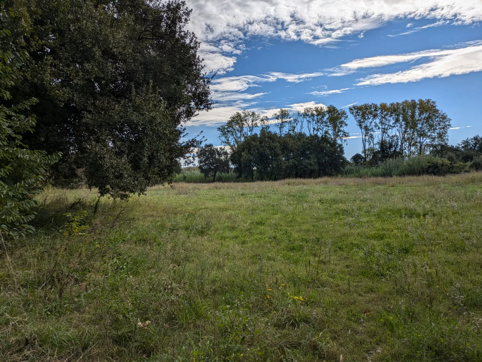 Terrain agricole plat à vendre à Argeles-sur-Mer, Zone protégée