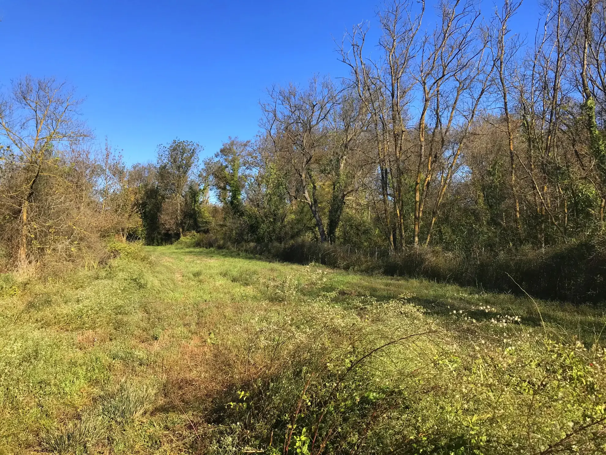 Achat terrain de 1488 m² avec mazet à Mauguio, près de l'étang de l'Or