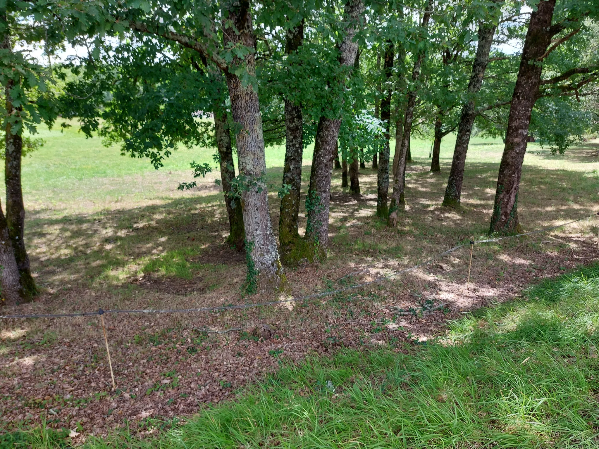 Terrain constructible plat à Saint Pardoux la Rivière - Quartier résidentiel