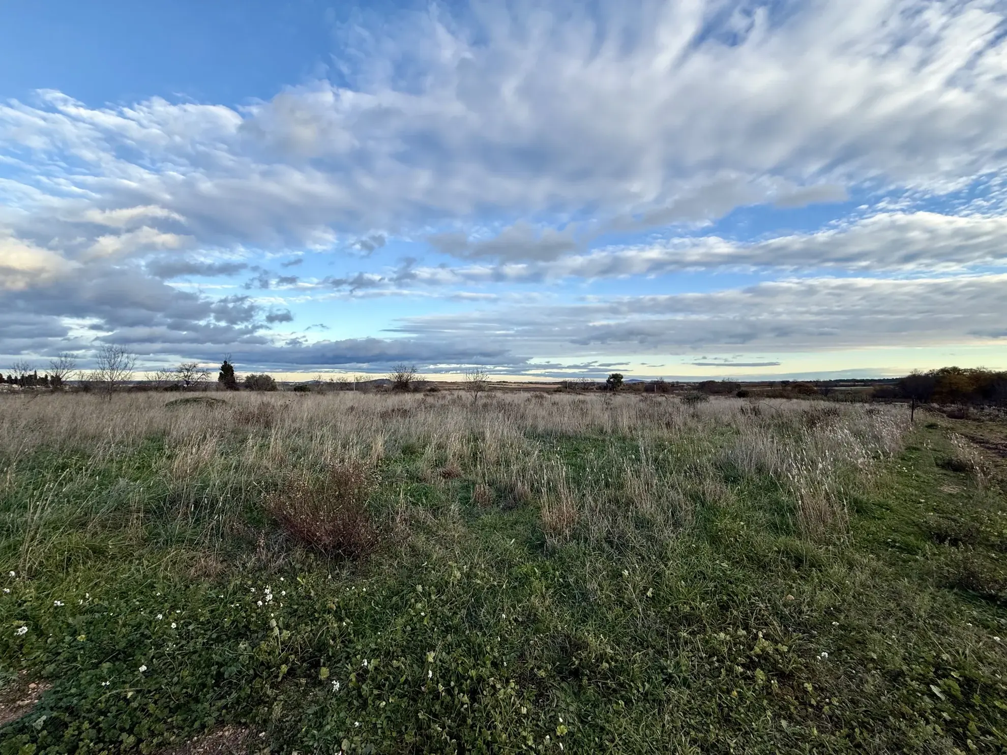Terrain agricole de 2895 m2 à Montblanc avec vue dégagée