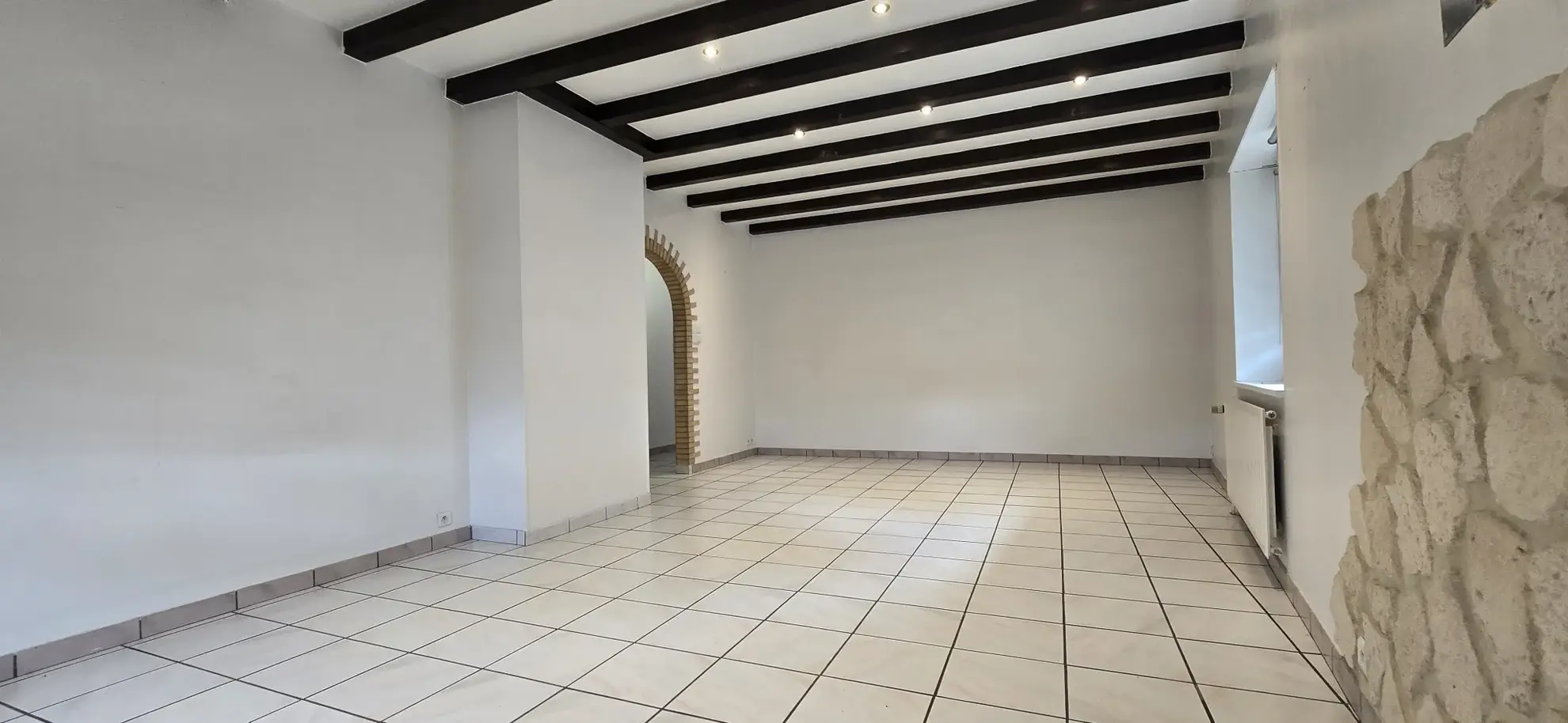 Magnifique appartement de 208 m2 à Illfurth avec grande terrasse et possibilités multiples 