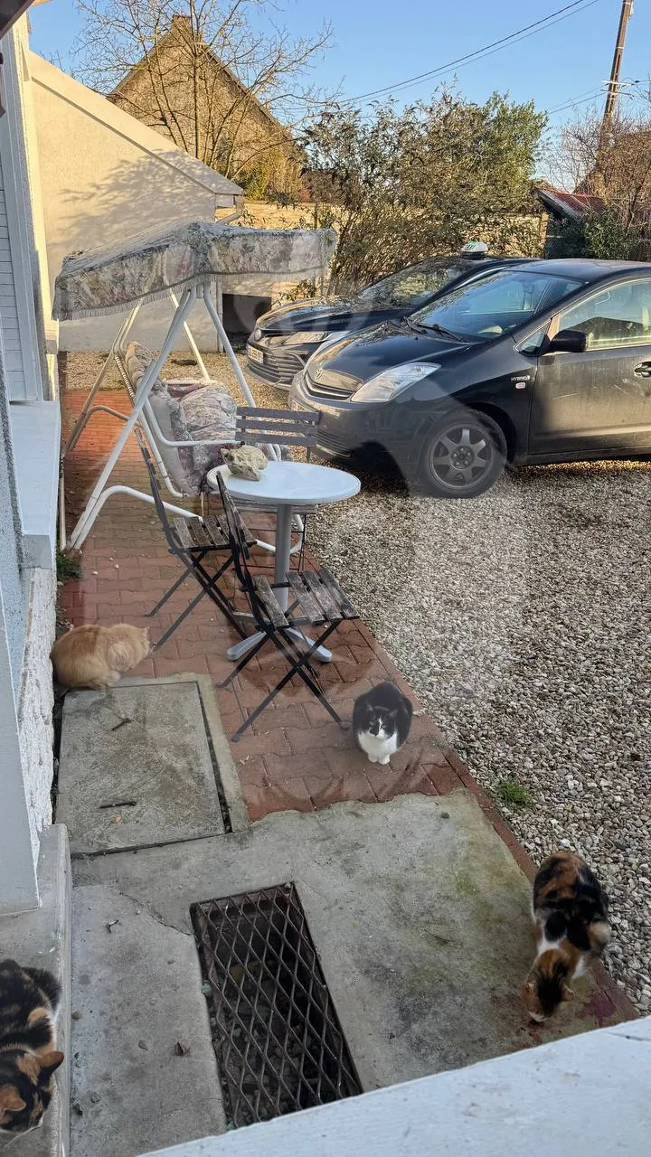 À vendre maison avec corps de ferme et dépendances à Balloy (77118) 