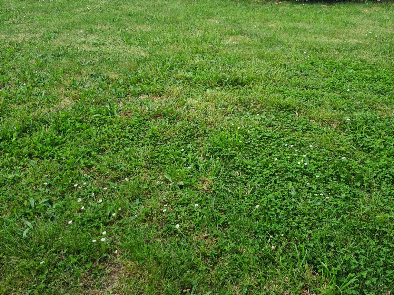 Terrain constructible à Libourne de 1200 m² dans un quartier prisé