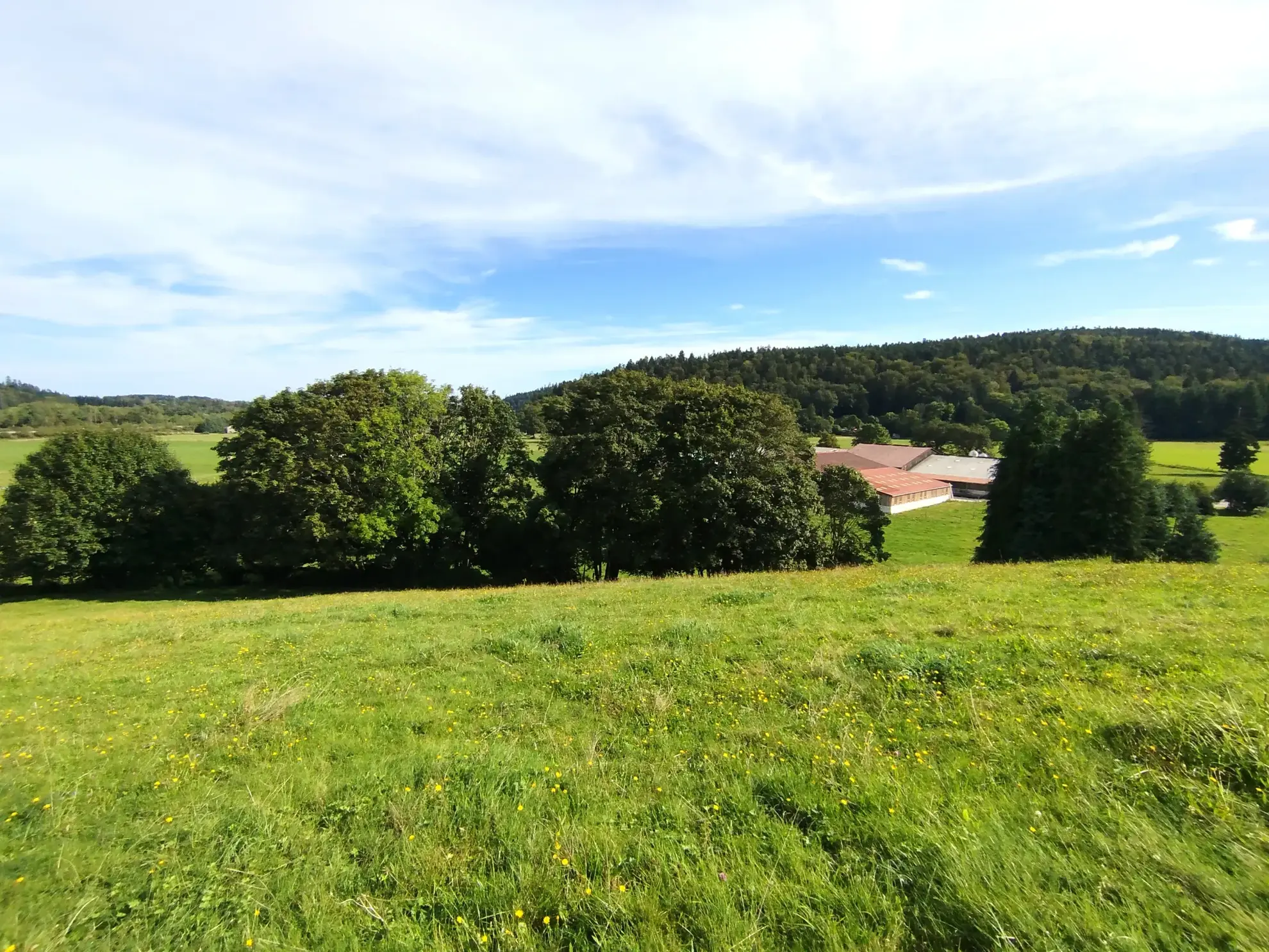 Terrain constructible à vendre à Olichamp, proche de Remiremont, surface personnalisable