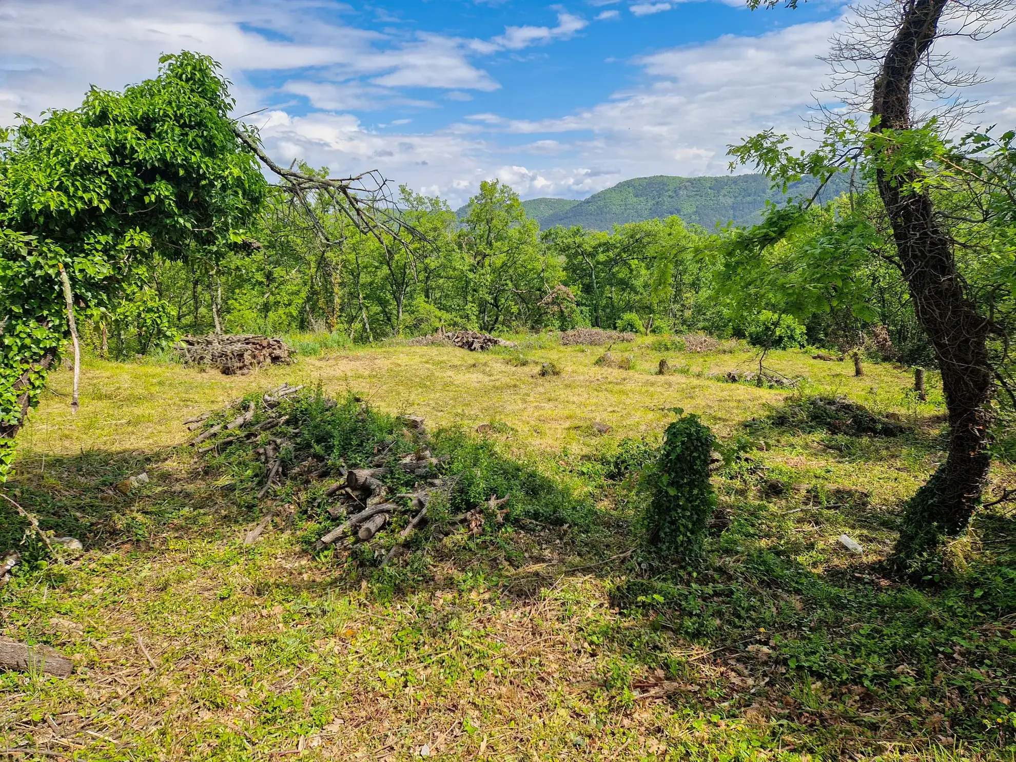 Terrain constructible à Coux avec vue panoramique et environnement calme 