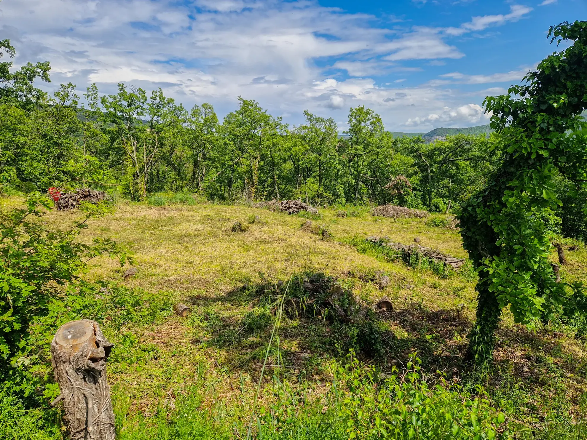 Terrain constructible à Coux avec vue panoramique et environnement calme 