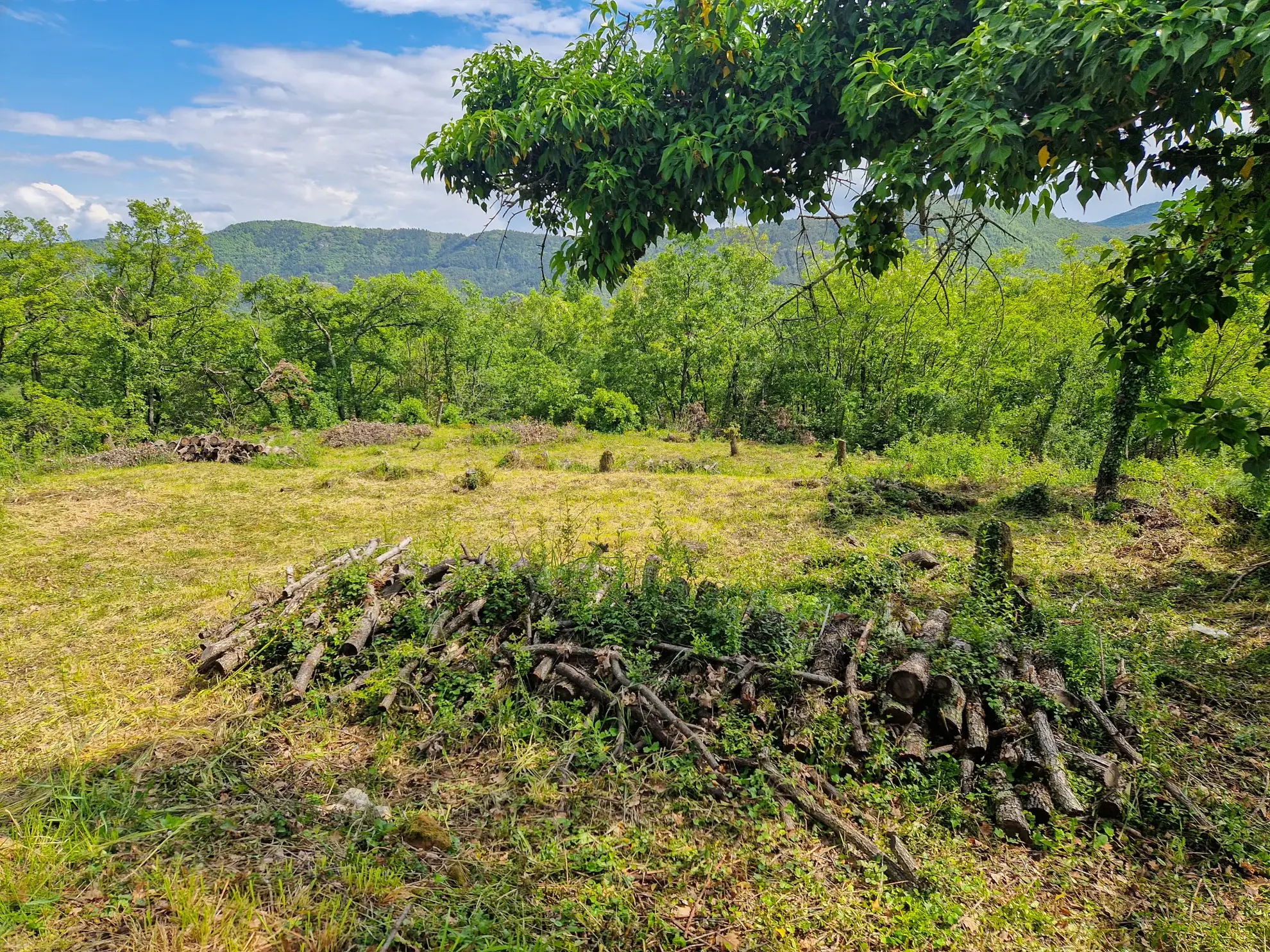 Terrain constructible à Coux avec vue panoramique et environnement calme 