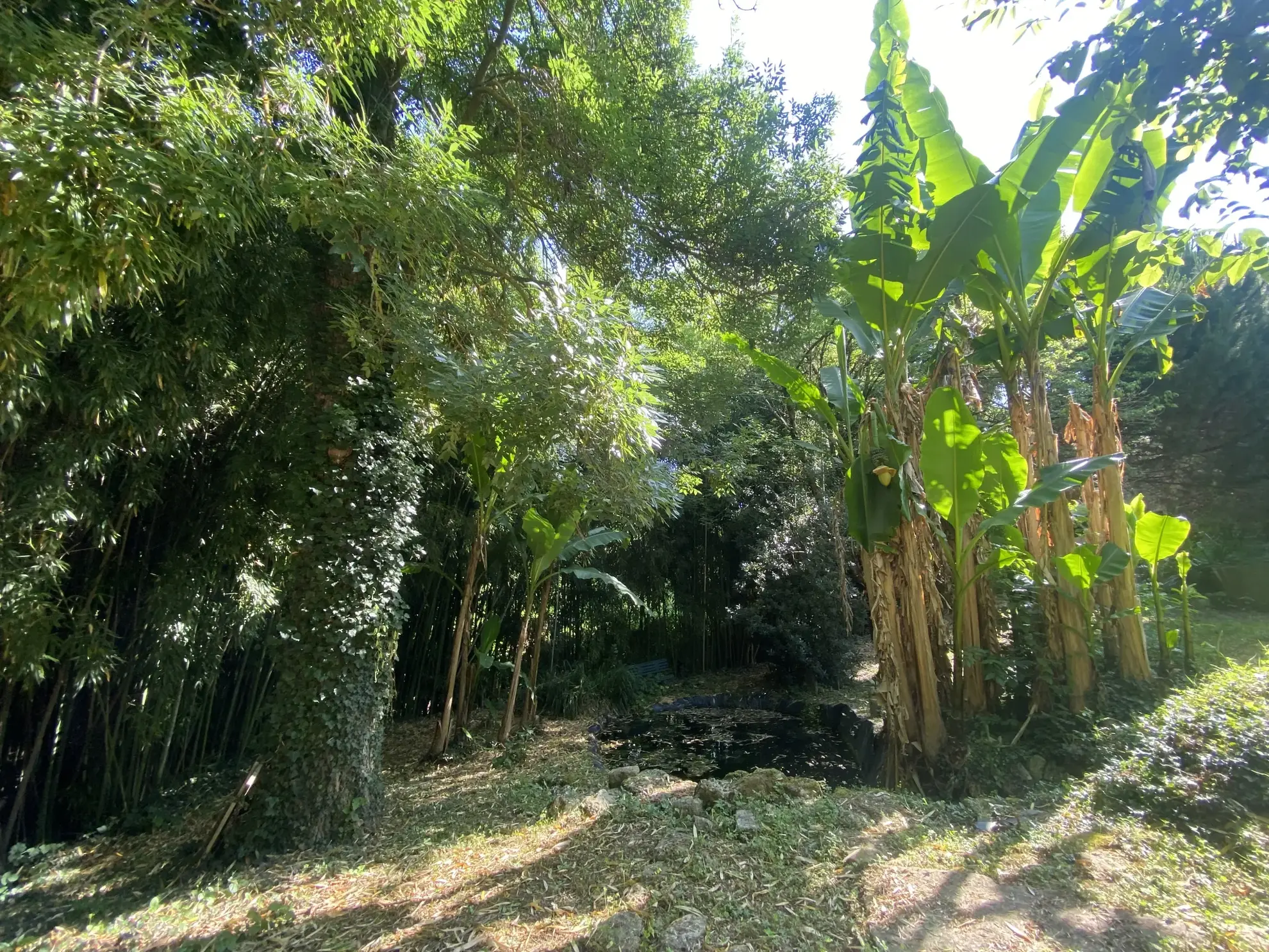 Maison ancienne de 195 m² avec jardin à Sauveterre-de-Guyenne près de La Reole 