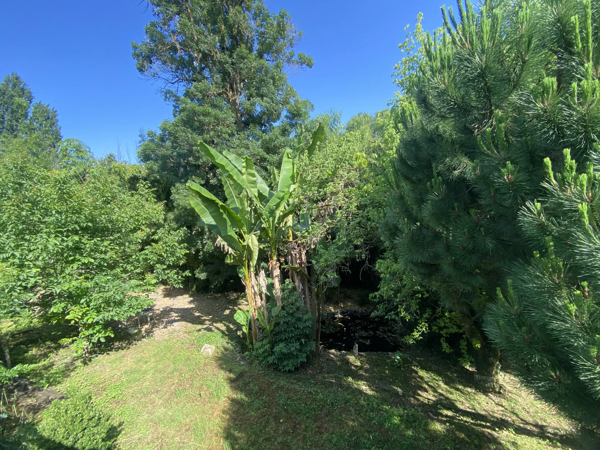 Maison ancienne de 195 m² avec jardin à Sauveterre-de-Guyenne près de La Reole 