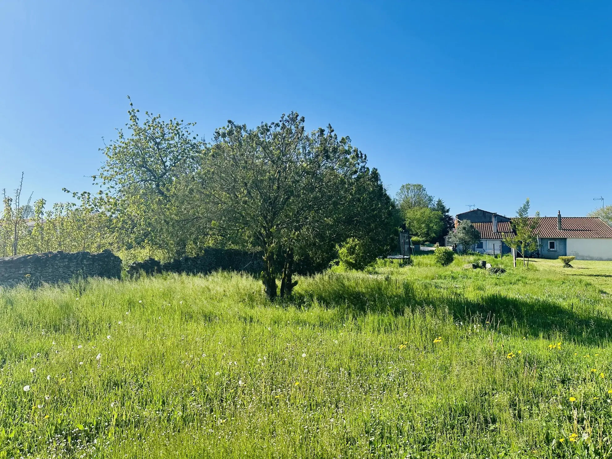 Charmante maison en pierre avec dépendances à Vouille, 3 chambres, terrain arboré 