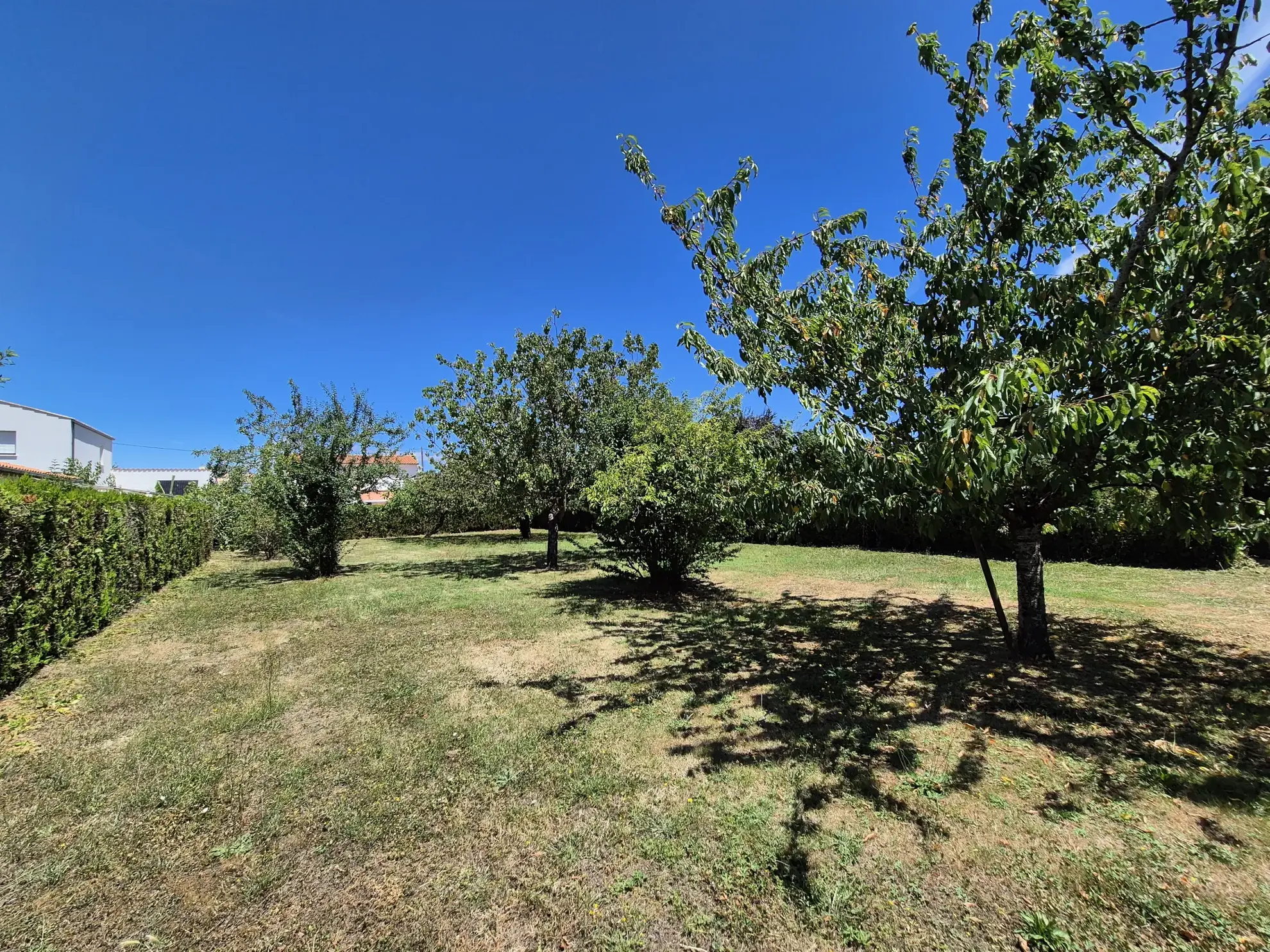 Terrain à bâtir à Fouras – Terrain constructible, borné, accessible en zone UC 